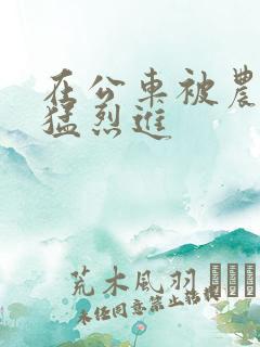 在公车被农民工猛烈进