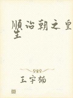 顺治朝之皇后重生