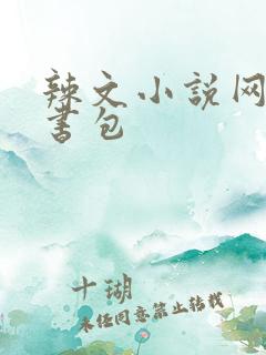 辣文小说网第二书包