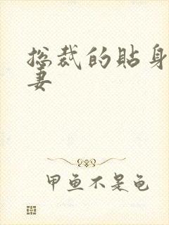 总裁的贴身下堂妻