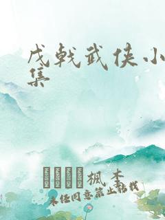 戊戟武侠小说全集