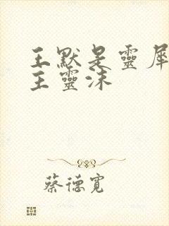 王默是灵犀阁公主灵沫