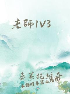老师1V3