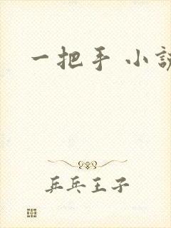 一把手 小说