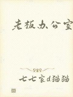 老板办公室调数