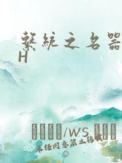 系统之名器勾男H