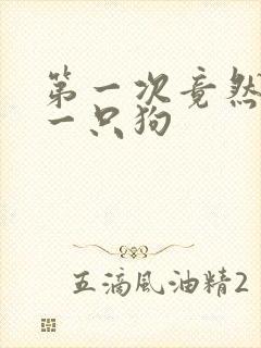 第一次竟然给了一只狗