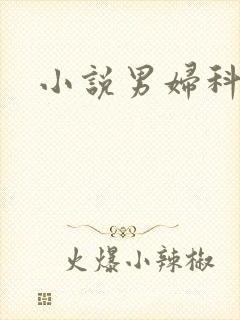 小说男妇科医生