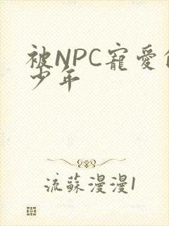 被NPC宠爱的少年
