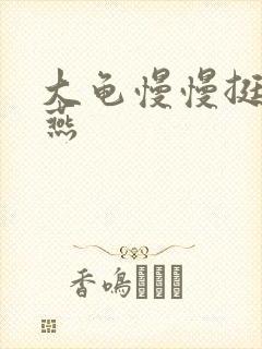 大龟慢慢挺进张燕