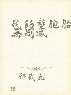 我的双胞胎老婆无删减