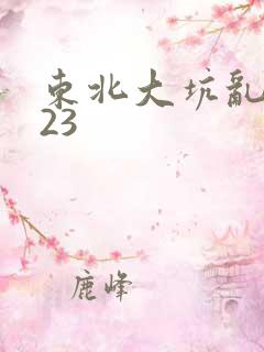 东北大坑乱1—23