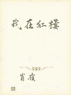 我在红楼