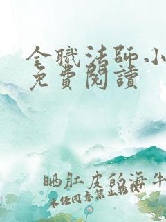 全职法师小说 免费阅读