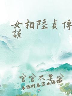女相陆贞传奇小说