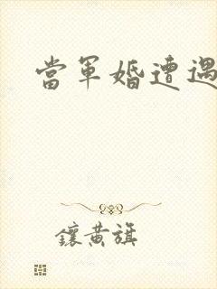 当军婚遭遇爱情