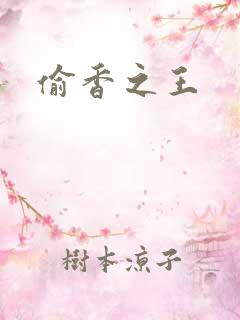 偷香之王
