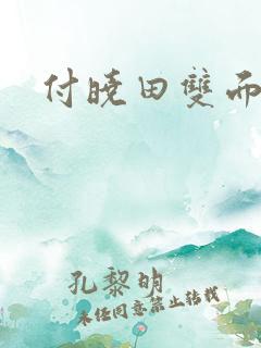 付晓田双面间谍