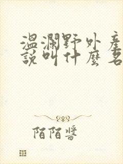 温澜野外产子小说叫什么名字