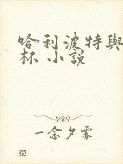 哈利波特与火焰杯 小说