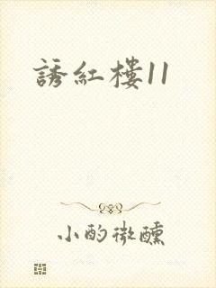 诱红楼11