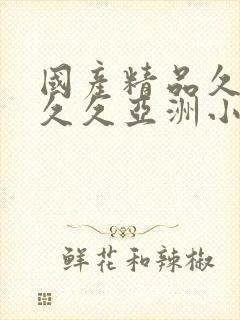 国产精品久久久久久亚洲小说