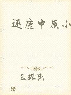 逐鹿中原小说