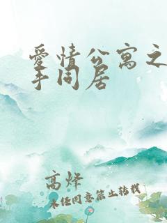 爱情公寓之与杀手同居