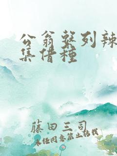 公翁系列辣文全集借种