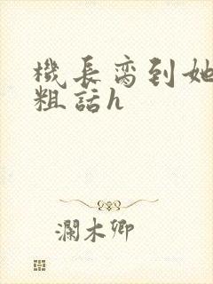 机长脔到她哭h粗话h