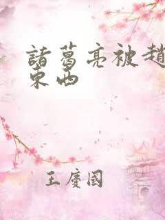 诸葛亮被赵云塞东西