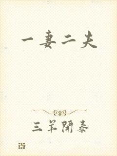 一妻二夫
