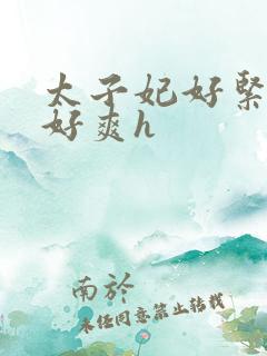 太子妃好紧皇上好爽h