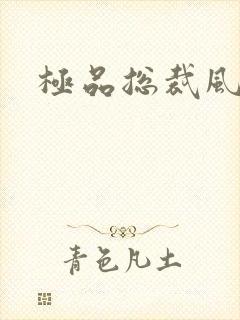 极品总裁风流录