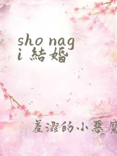 sho nagi 结婚