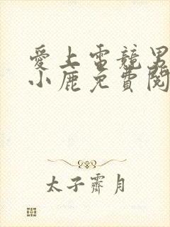 爱上电竞男神林小鹿免费阅读