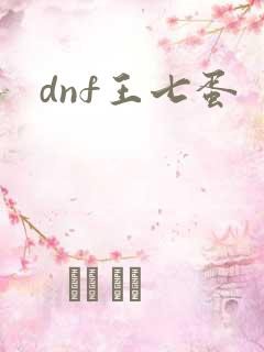 dnf王七蛋