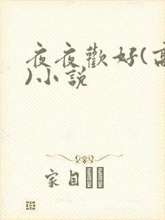 夜夜欢好(高h)小说