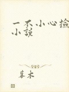 一不小心捡到爱小说