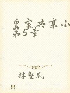 皇家共享小公主第5章