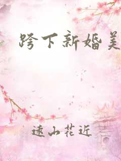 跨下新婚美妇