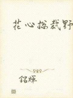 花心总裁野蛮妻