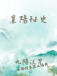襄阳秘史
