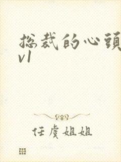 总裁的心头宝1v1