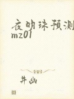 夜明珠预测 ymz01