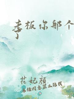 老板你那个太长了