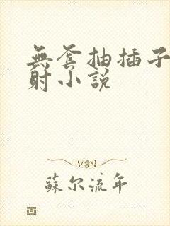 无套抽插子宫内射小说