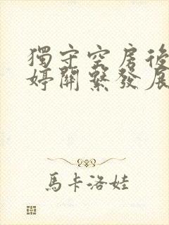 独守空房后与姜婷关系发展