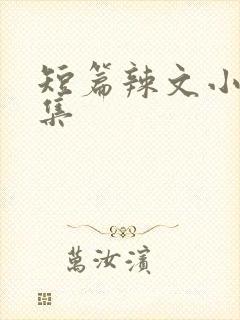 短篇辣文小说合集