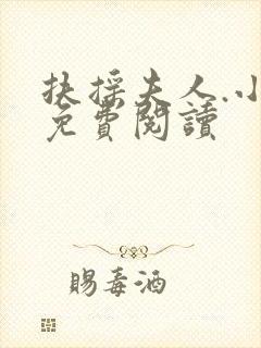 扶摇夫人.小说免费阅读